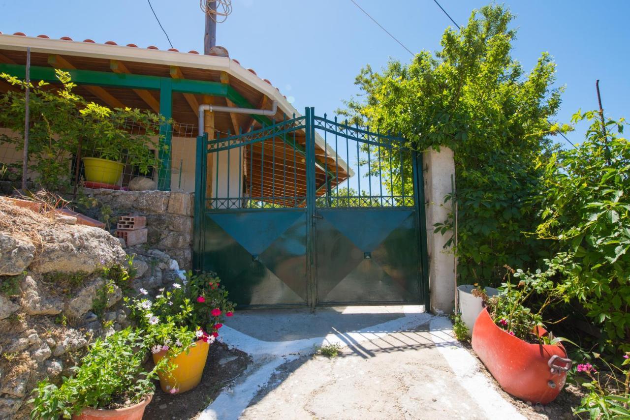 Basil & Guest House Lazaráta Exterior photo